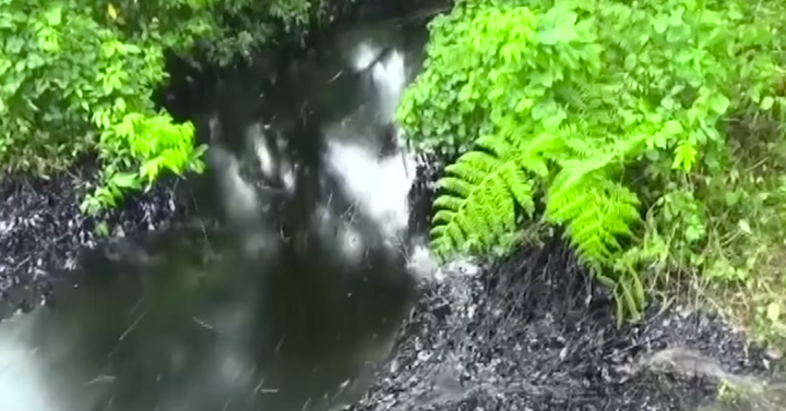 800 x 419 Canvas