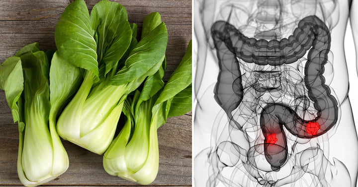 Bok Choy: 7 Health Benefits