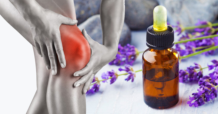 Lavandin Essential Oil: 8 Uses & Benefits