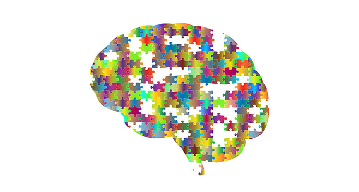 brain health FI