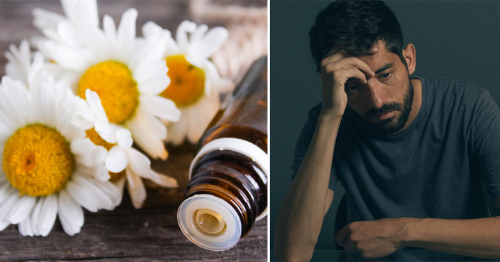 Chamomile Essential Oil: 10 Health Uses