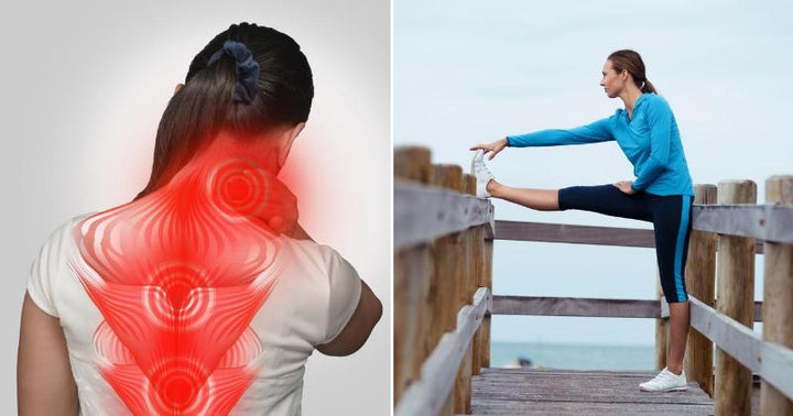 reduce inflammation FI