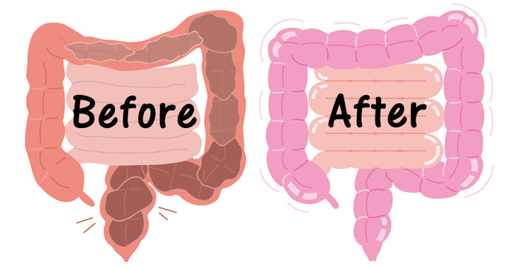 healthy colon cleanse FI
