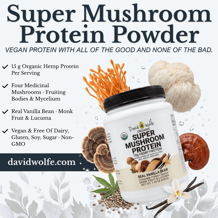 Why We Created Super Mushroom Protein with An Autumn Recipe! + Icelandic Adventures