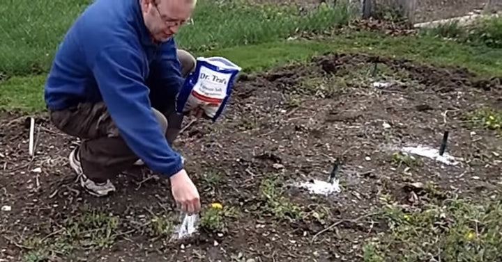 epsom salt garden FI