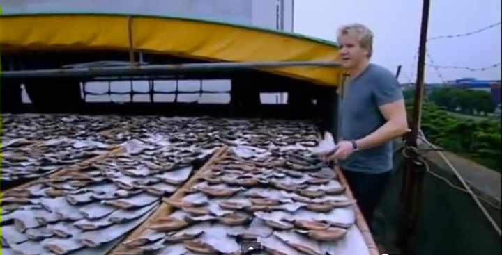 gordon-ramsay-shark-fins