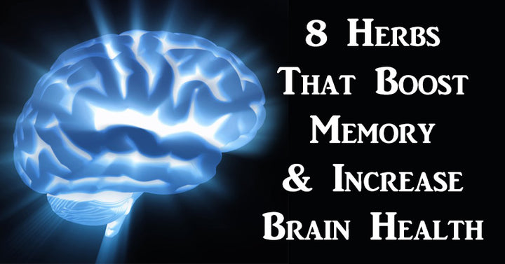 herbs memory FI