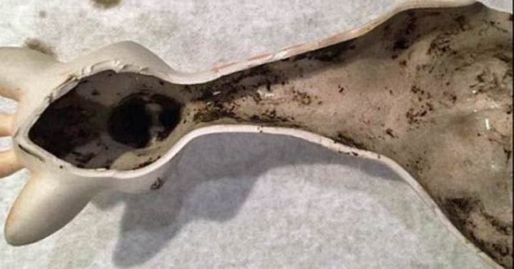mold chew toy FI