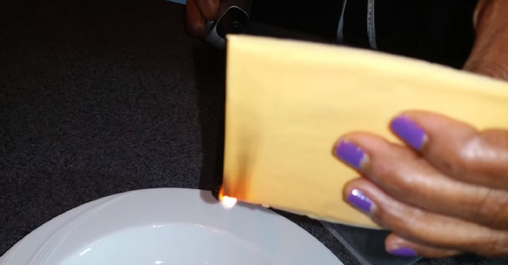 processed cheese FI