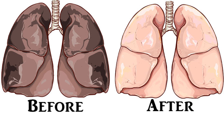 tartar nicotine FI