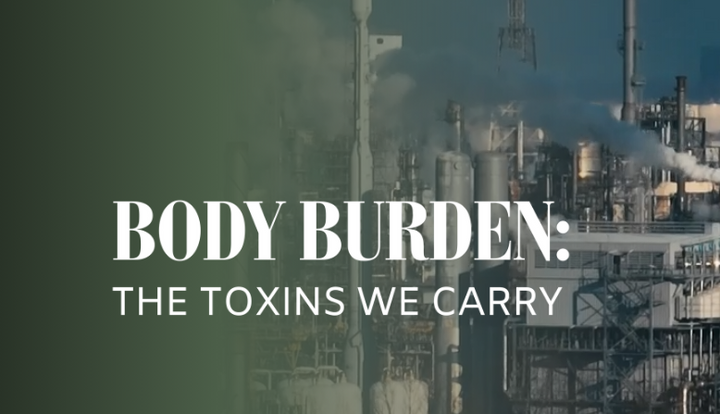 Body Burden: The Toxins We Carry