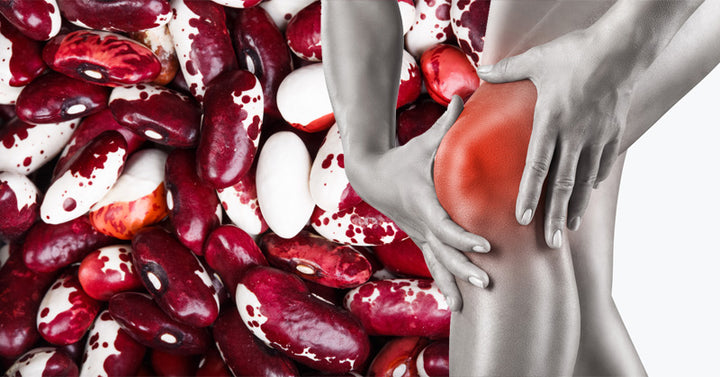Anasazi Beans: 5 Health Benefits