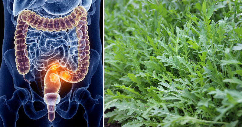 Arugula: 10 Health Benefits