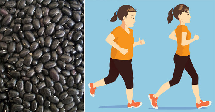 Black Beans: 9 Health Benefits