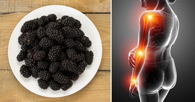 Blackberries: 6 Health Benefits