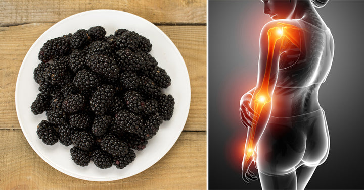 Blackberries: 6 Health Benefits