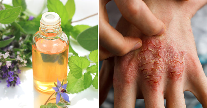 7 Borage Oil Benefits & Uses