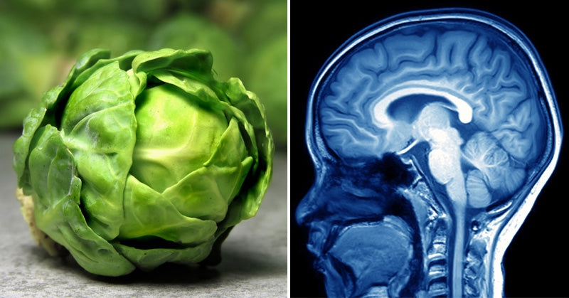 Brussels Sprouts: 10 Health Benefits
