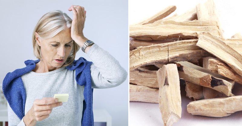 Calamus Essential Oil: 10 Uses & Benefits