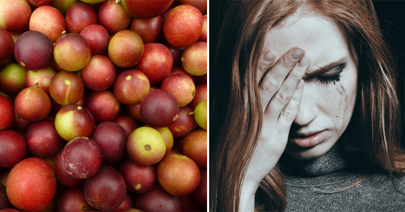 Camu Camu: 5 Health Benefits