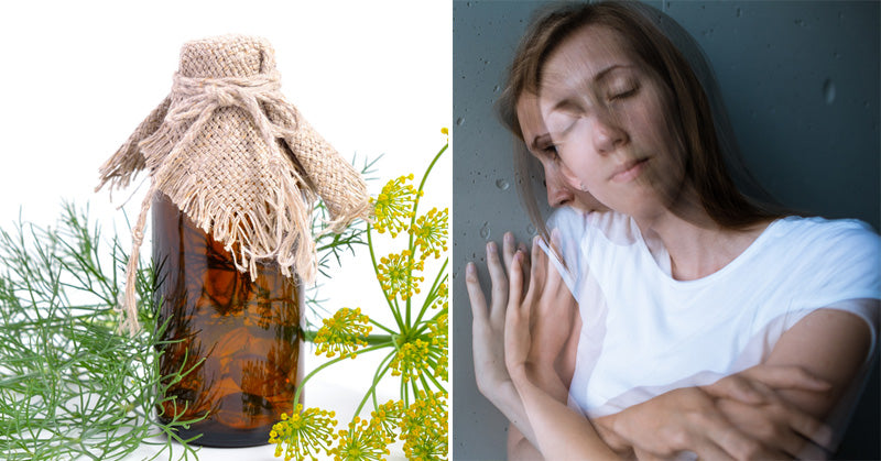 Dill Essential Oil: 10 Health Uses