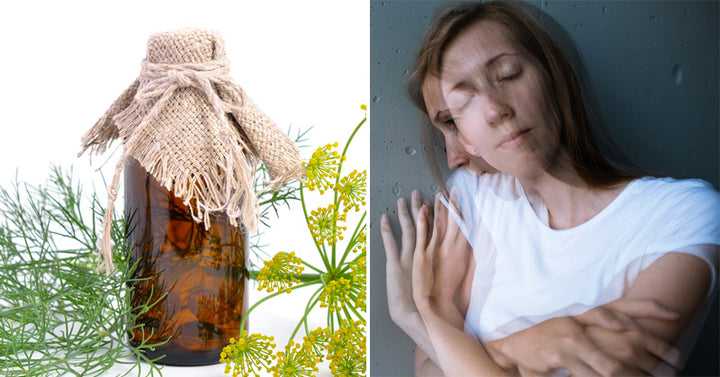 Dill Essential Oil: 10 Health Uses