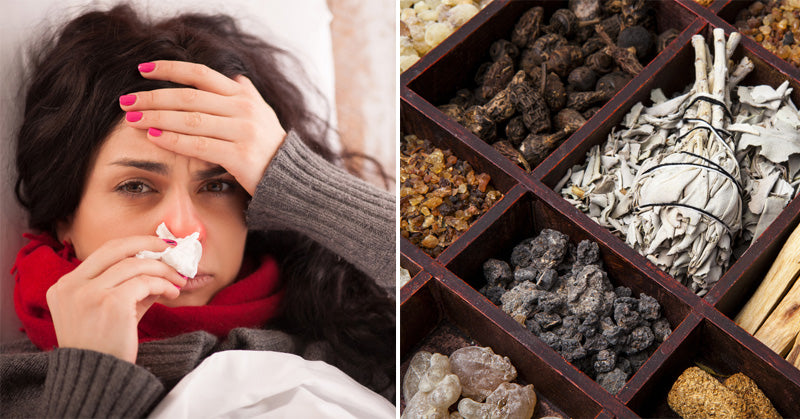 Elemi Essential Oil: 5 Health Benefits & Uses