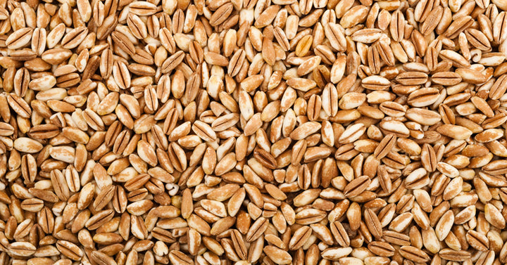 Farro: 6 Benefits & Uses