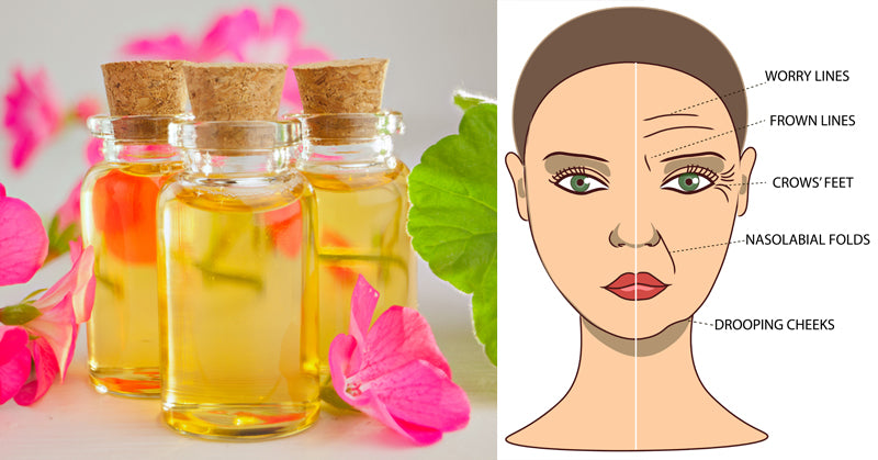 Geranium Oil FI
