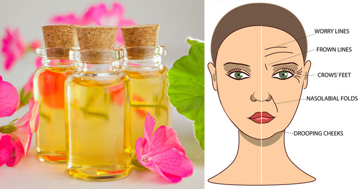 Geranium Oil FI