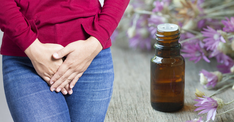 Helichrysum Essential Oil FI