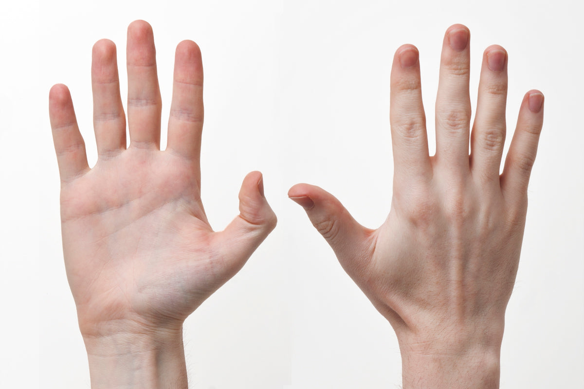 What Finger Lengths May Reveal About You and Your Personality