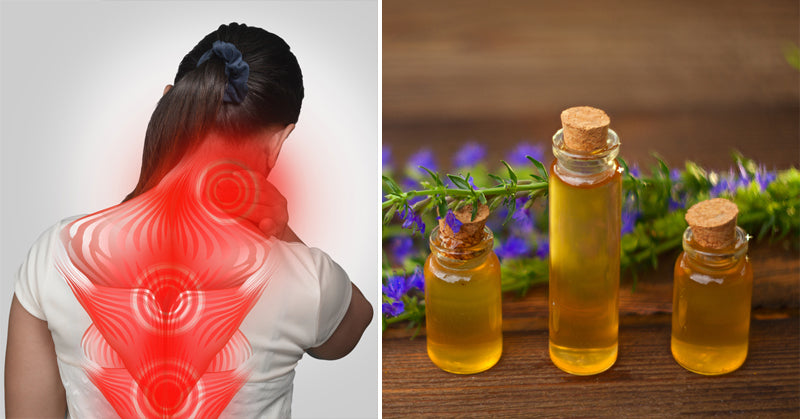 Hyssop Essential Oil FI