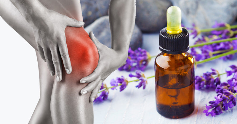 Lavandin Essential Oil: 8 Uses & Benefits