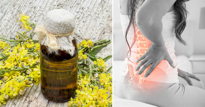 Mullein Essential Oil: 10 Uses & Benefits
