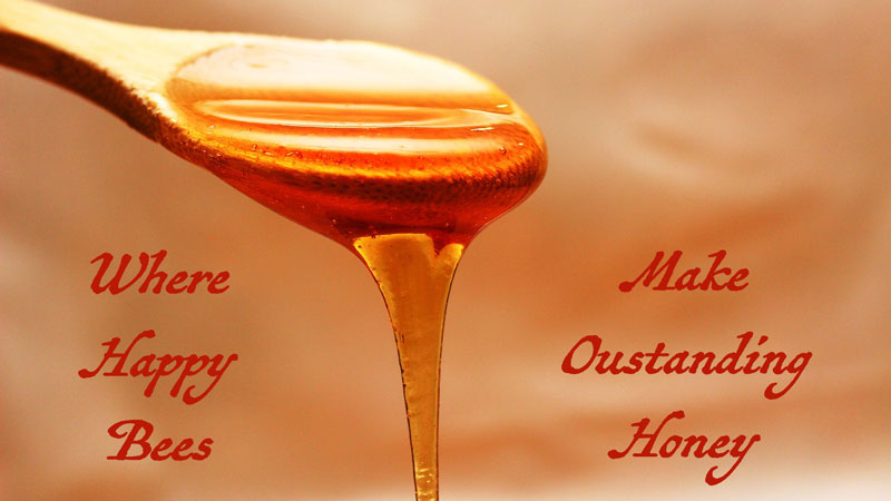 NoniLand Honey: The Taste of Paradise