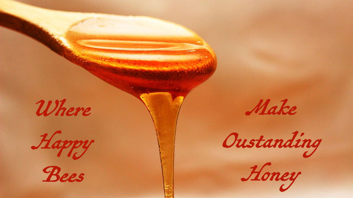 NoniLand Honey: The Taste of Paradise