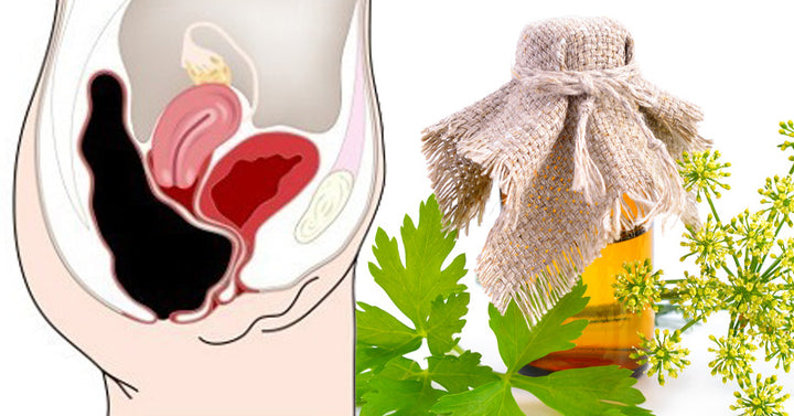Parsley Essential Oil: 15 Benefits & Uses