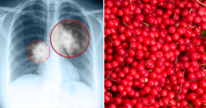 Schizandra Fruit health benefits FI