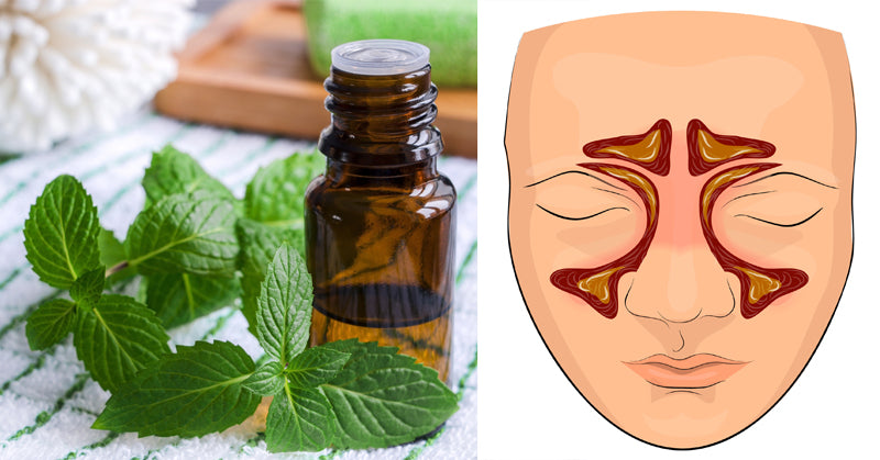 Spearmint Essential Oil: 10 Health Benefits