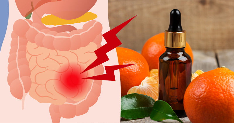 Tangerine Essential Oil: 7 Benefits & Uses