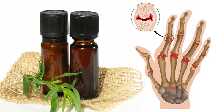 Tarragon Essential Oil: 9 Health Benefits
