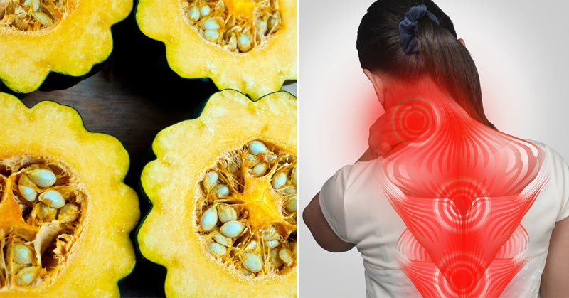 Acorn Squash: 7 Benefits & Uses