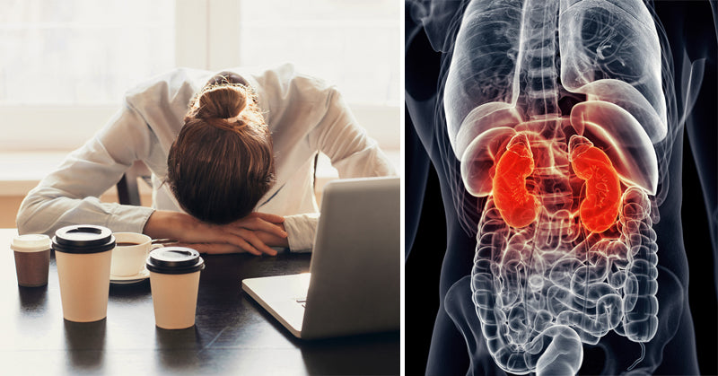 adrenal fatigue FI