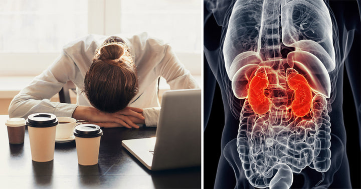 adrenal fatigue FI