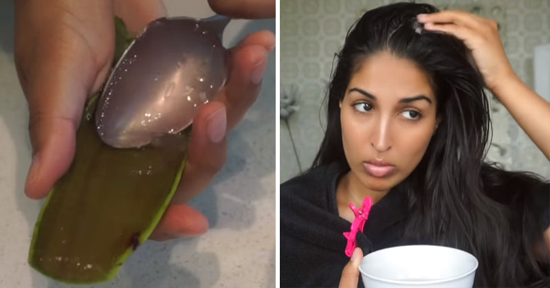 aloe hair FI