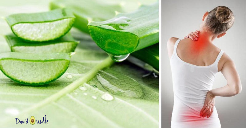 aloe vera benefits FI