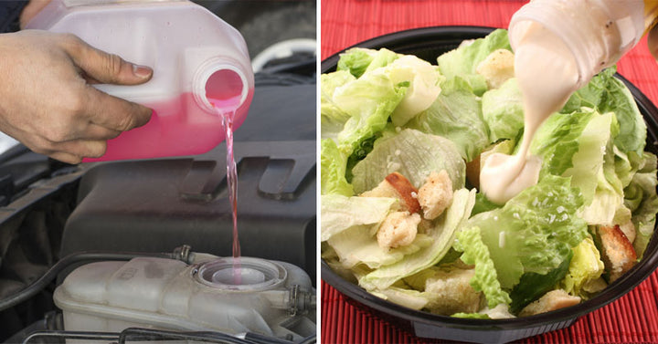 antifreeze food FI02