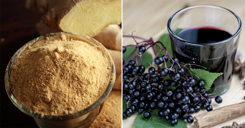 antiviral herbs FI