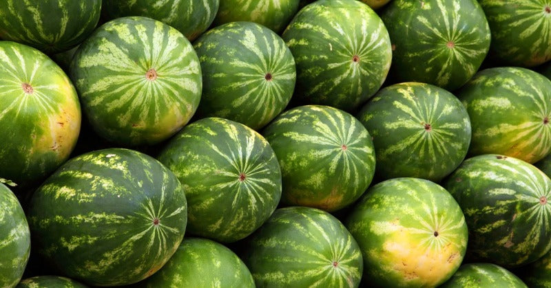 background-2636_1280